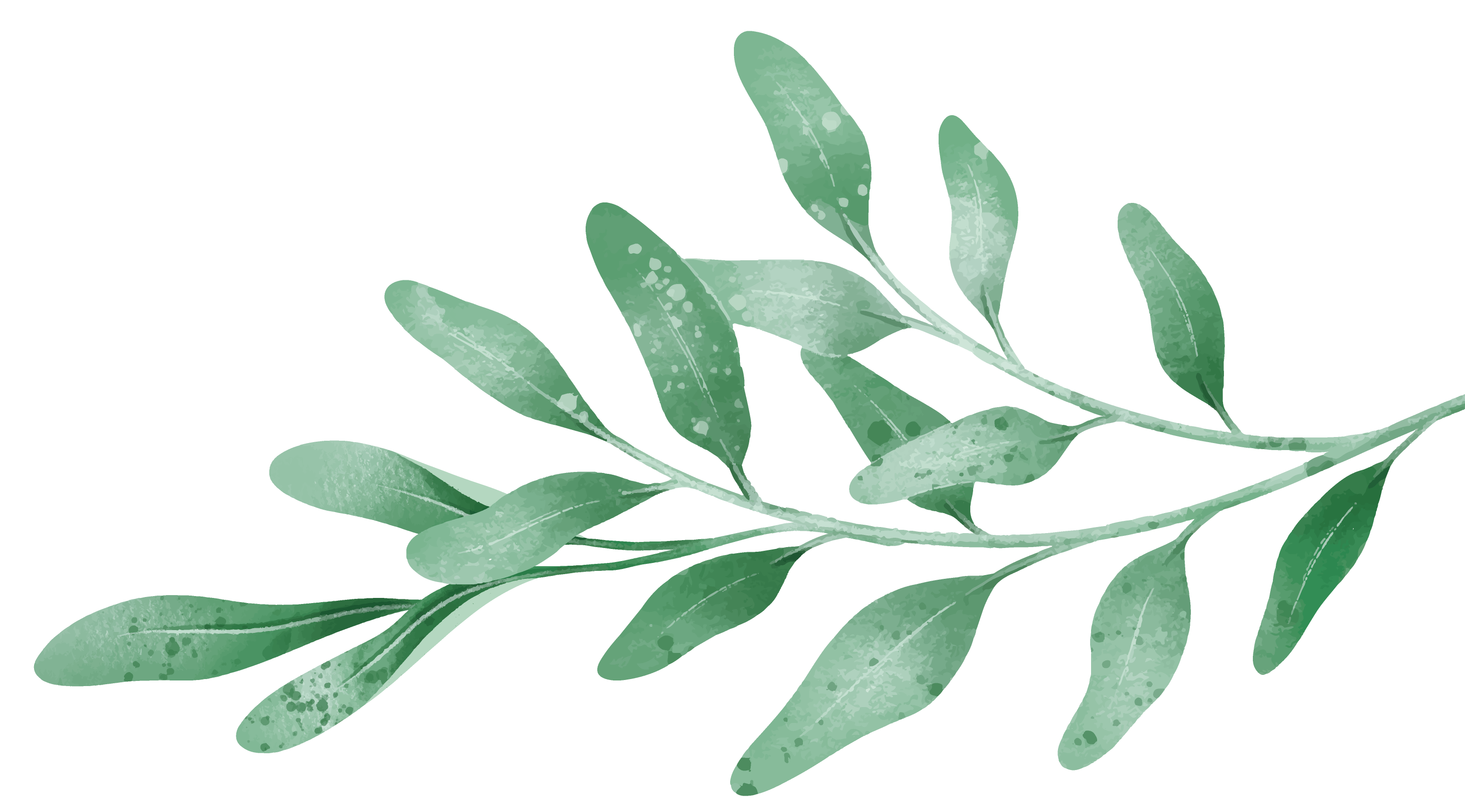 Plant logo luxe kapper wuustwezel antwerpen